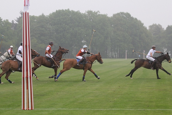 Polo_Art   078.jpg